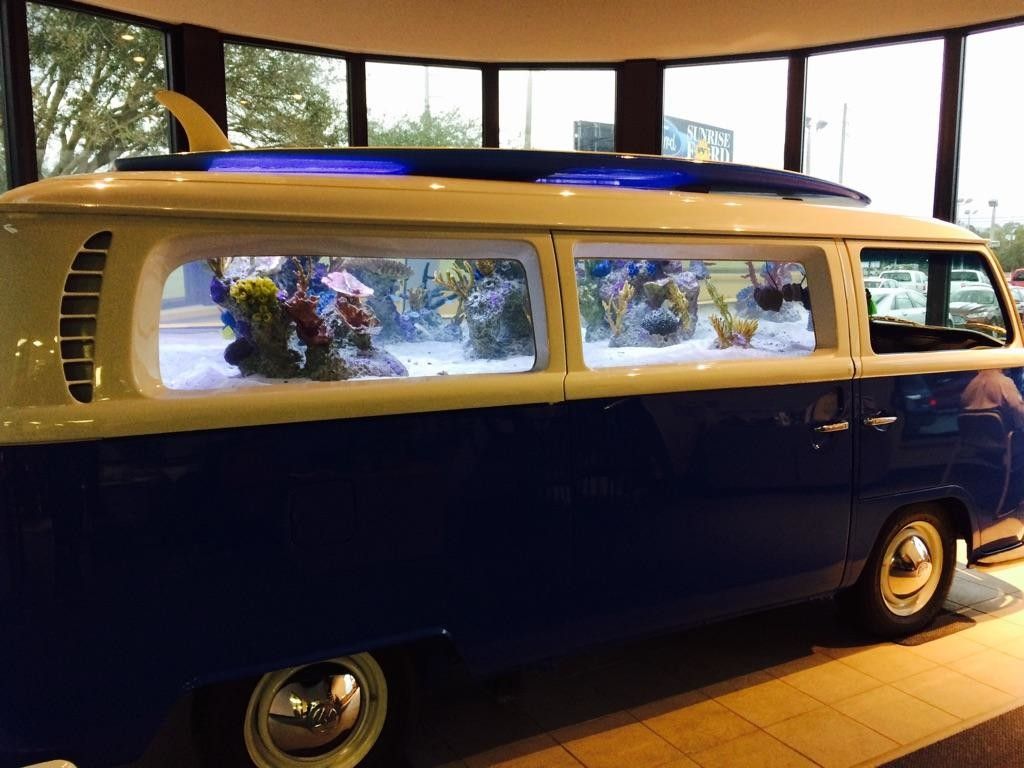 • View topic Aquarium Fish Junkies