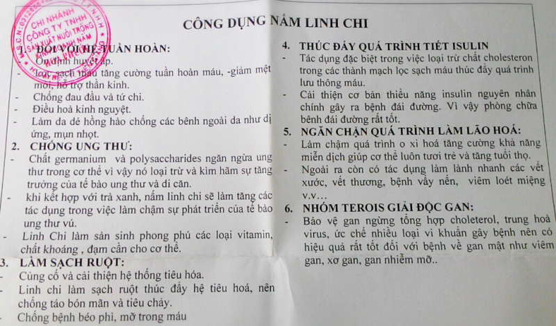 Cung cấp nấm linh chi đỏ tươi nguyên chất - hàng thật - giá thật!!! - 5