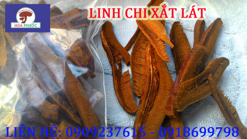 Cung cấp nấm linh chi đỏ tươi nguyên chất - hàng thật - giá thật!!! - 2