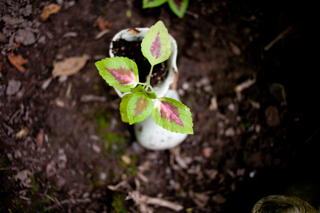 IMAGE: http://i1212.photobucket.com/albums/cc445/jobv2/_S9U4078-1000-1.png