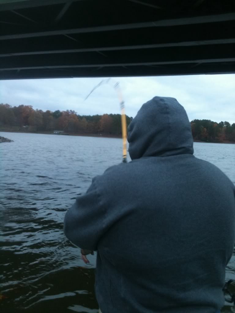 Lake Oconee striper/catfish report 11/17 (pic heavy) GON Forum