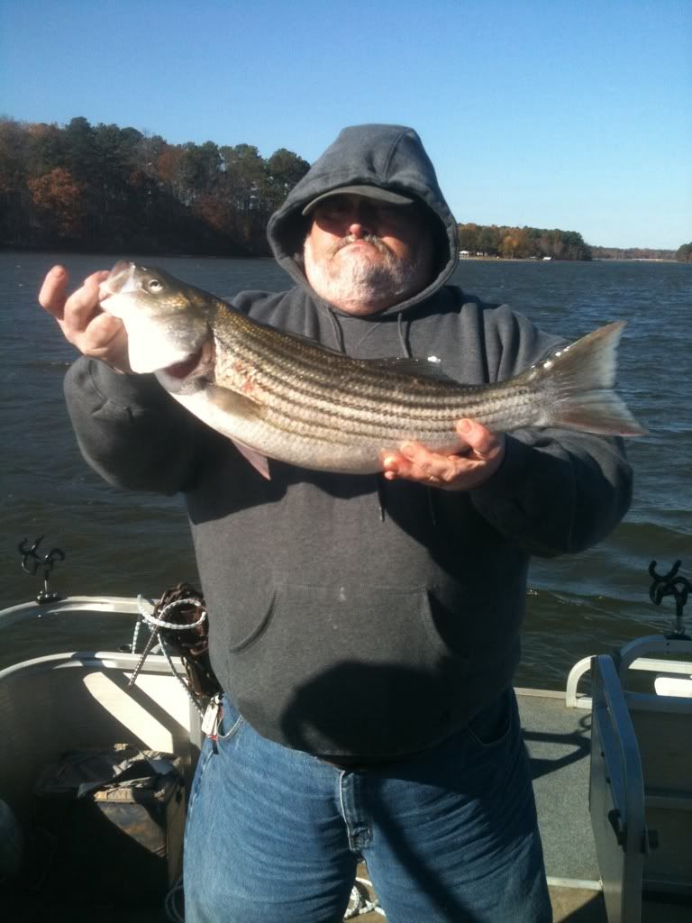 Lake Oconee striper/catfish report 11/17 (pic heavy) GON Forum