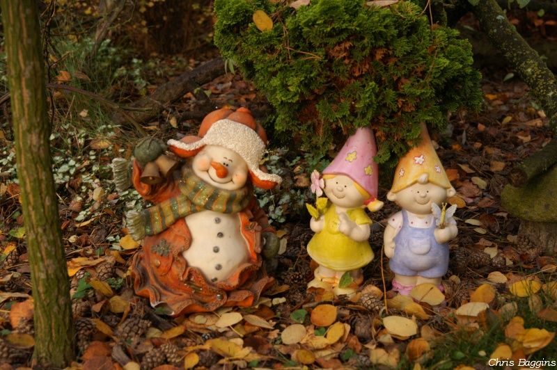  photo PICT2729PICT2727_Autumn_garden_november_snowman_zps2e1aa201.jpg