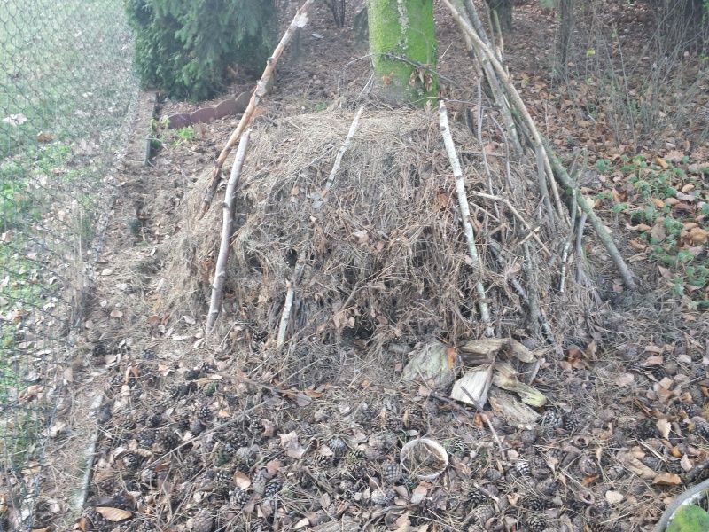  photo Snowless_winter_08_zpsgj0fqzgp.jpg