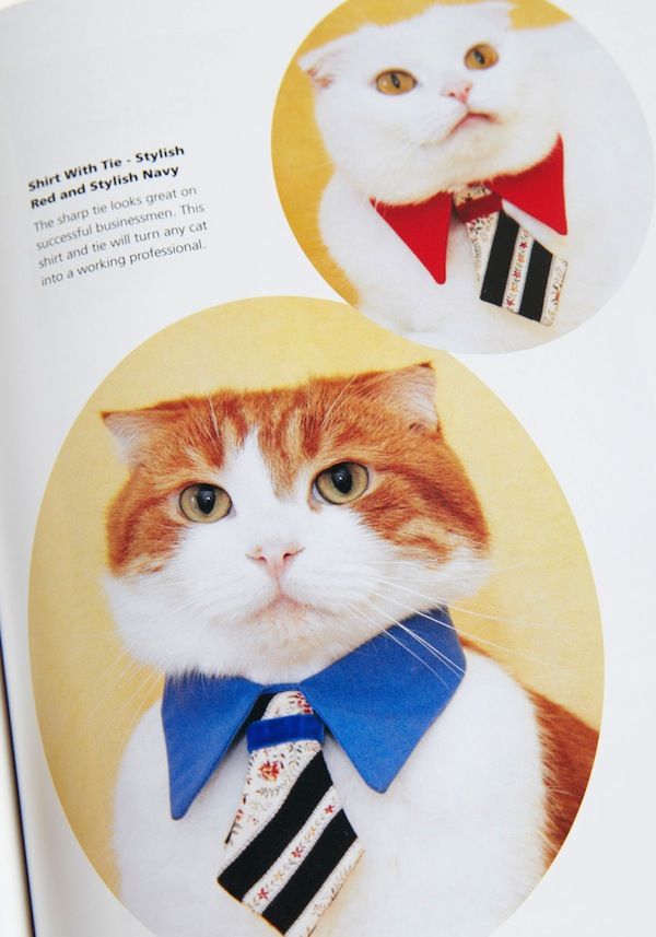 A Book that Catalogs Funny & Absurd Fashion Trends for Cats