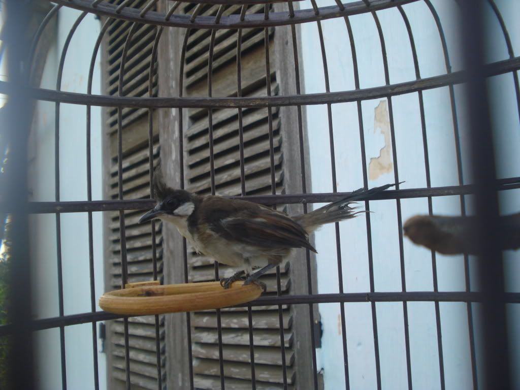 DSC01578.jpg