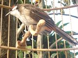 th_DSC01477.jpg