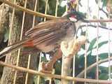th_DSC01479.jpg