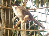 th_DSC01483.jpg