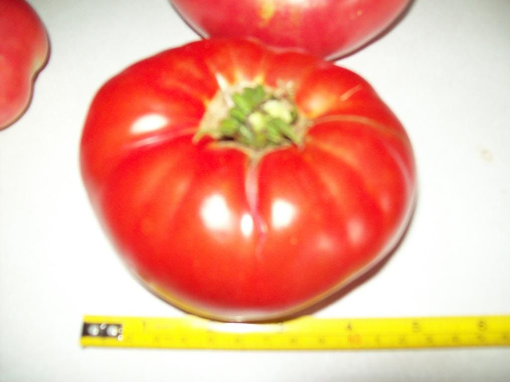 Steakhouse photo 100_2637.jpg